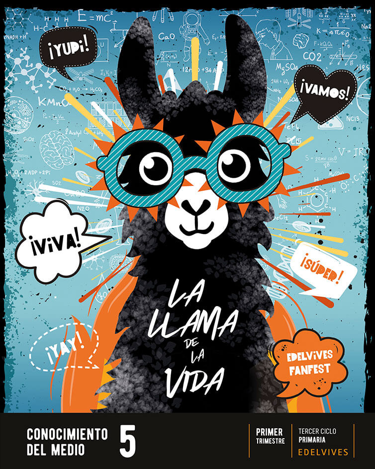 Cubierta La llama de la vida